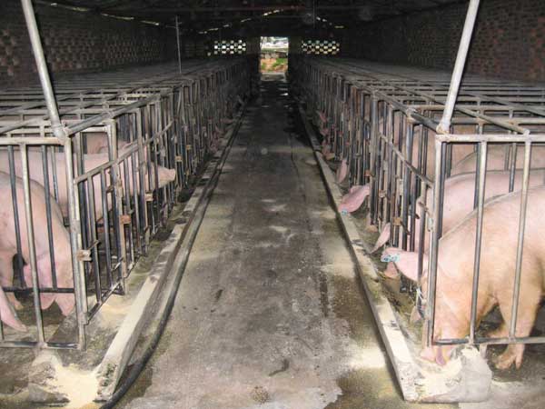 饲料配比应用电容式接近开关